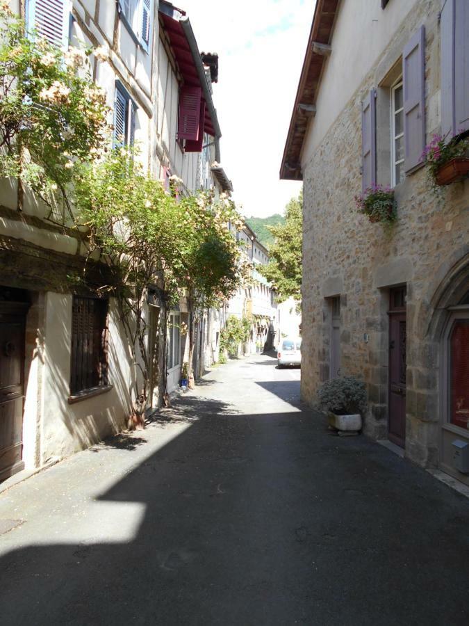 7 Rue Droite Villa Saint-Antonin Eksteriør bilde